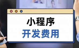 定制小程序開發(fā)：企業(yè)數(shù)字化轉(zhuǎn)型的戰(zhàn)略選擇